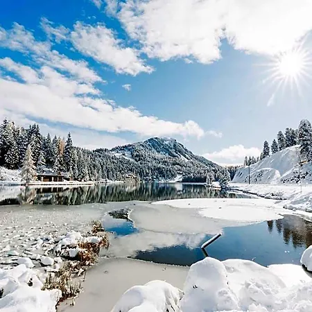 In Alpine Forest Near Slopes