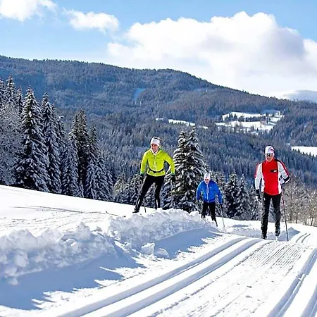 In Alpine Forest Near Slopes Hotel Predlitz-Turrach