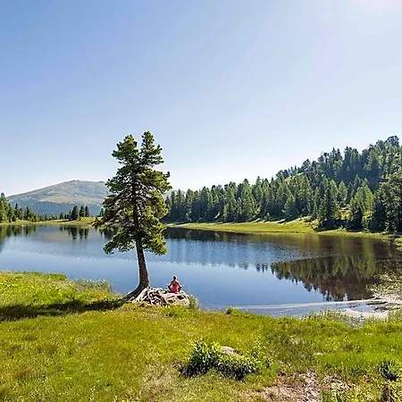 In Alpine Forest Near Slopes