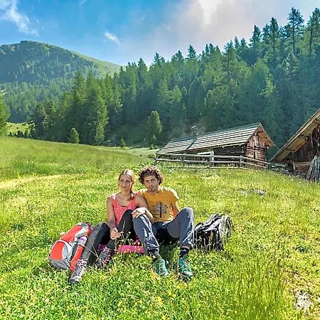 In Alpine Forest Near Slopes